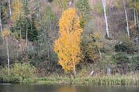 Bild: Sonntagswanderung an der Hassel-Vorsperre