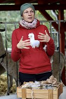 Bild: Unterwegs mit den Unstrut Lamas aus Herbsleben