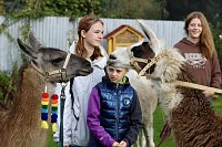 Bild: Unterwegs mit den Unstrut Lamas aus Herbsleben