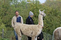 Bild: Unterwegs mit den Unstrut Lamas aus Herbsleben