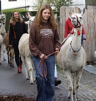 Bild: Unterwegs mit den Unstrut Lamas aus Herbsleben