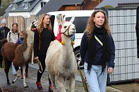 Bild: Unterwegs mit den Unstrut Lamas aus Herbsleben