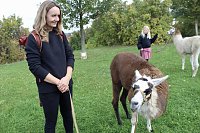 Bild: Unterwegs mit den Unstrut Lamas aus Herbsleben