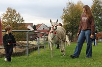 Bild: Unterwegs mit den Unstrut Lamas aus Herbsleben