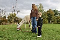 Bild: Unterwegs mit den Unstrut Lamas aus Herbsleben