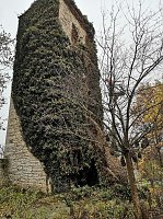 Befreiungsarbeiten am Pulverturm im Arboretum Bild: Befreiungsarbeiten am Pulverturm im Arboretum
