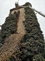 Befreiungsarbeiten am Pulverturm im Arboretum Bild: Befreiungsarbeiten am Pulverturm im Arboretum