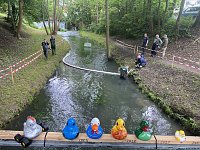 Das Jahr 2024 in Bad Langensalza - vor dem Entenrennen Bild: Das Jahr 2024 in Bad Langensalza - vor dem Entenrennen