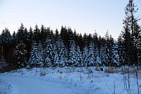 Bild: Winterlicher Harzausflug mit Kamera