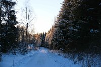 Bild: Winterlicher Harzausflug mit Kamera