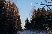 Bild: Winterlicher Harzausflug mit Kamera