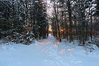 Bild: Winterlicher Harzausflug mit Kamera