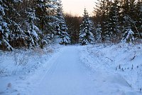 Bild: Winterlicher Harzausflug mit Kamera