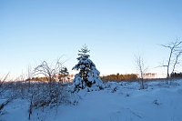 Bild: Winterlicher Harzausflug mit Kamera