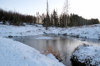 Bild: Winterlicher Harzausflug mit Kamera