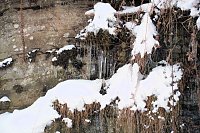 Bild: Winterlicher Harzausflug mit Kamera