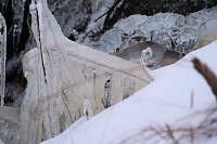 Bild: Winterlicher Harzausflug mit Kamera