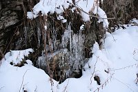 Bild: Winterlicher Harzausflug mit Kamera