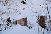 Bild: Winterlicher Harzausflug mit Kamera