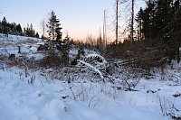 Bild: Winterlicher Harzausflug mit Kamera