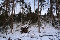 Bild: Winterlicher Harzausflug mit Kamera