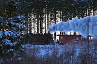 Bild: Winterlicher Harzausflug mit Kamera