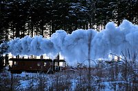 Bild: Winterlicher Harzausflug mit Kamera