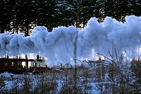 Bild: Winterlicher Harzausflug mit Kamera