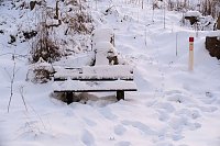 Bild: Winterlicher Harzausflug mit Kamera