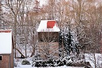 Bild: Winterlicher Harzausflug mit Kamera