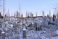 Bild: Winterlicher Harzausflug mit Kamera