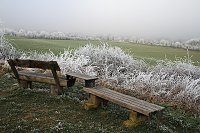 Bild: Winter in der Goldenen Aue