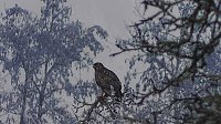 Bild: Winter in der Goldenen Aue