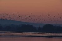 Bild: Besuch am Stausee