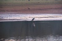 Bild: Besuch am Stausee
