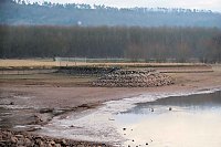 Bild: Besuch am Stausee