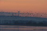 Bild: Besuch am Stausee