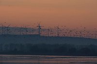 Bild: Besuch am Stausee