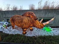 Magische Lichterwelten in Halle Bild: Magische Lichterwelten in Halle