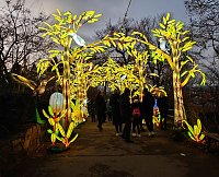 Magische Lichterwelten in Halle Bild: Magische Lichterwelten in Halle