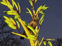 Magische Lichterwelten in Halle Bild: Magische Lichterwelten in Halle