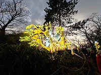 Magische Lichterwelten in Halle Bild: Magische Lichterwelten in Halle