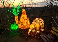 Magische Lichterwelten in Halle Bild: Magische Lichterwelten in Halle