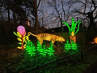 Magische Lichterwelten in Halle Bild: Magische Lichterwelten in Halle