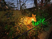 Magische Lichterwelten in Halle Bild: Magische Lichterwelten in Halle