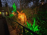 Magische Lichterwelten in Halle Bild: Magische Lichterwelten in Halle