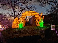 Magische Lichterwelten in Halle Bild: Magische Lichterwelten in Halle