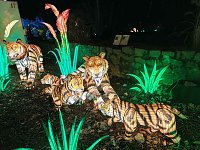 Magische Lichterwelten in Halle Bild: Magische Lichterwelten in Halle