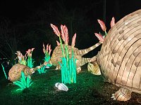 Magische Lichterwelten in Halle Bild: Magische Lichterwelten in Halle