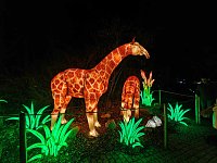 Magische Lichterwelten in Halle Bild: Magische Lichterwelten in Halle